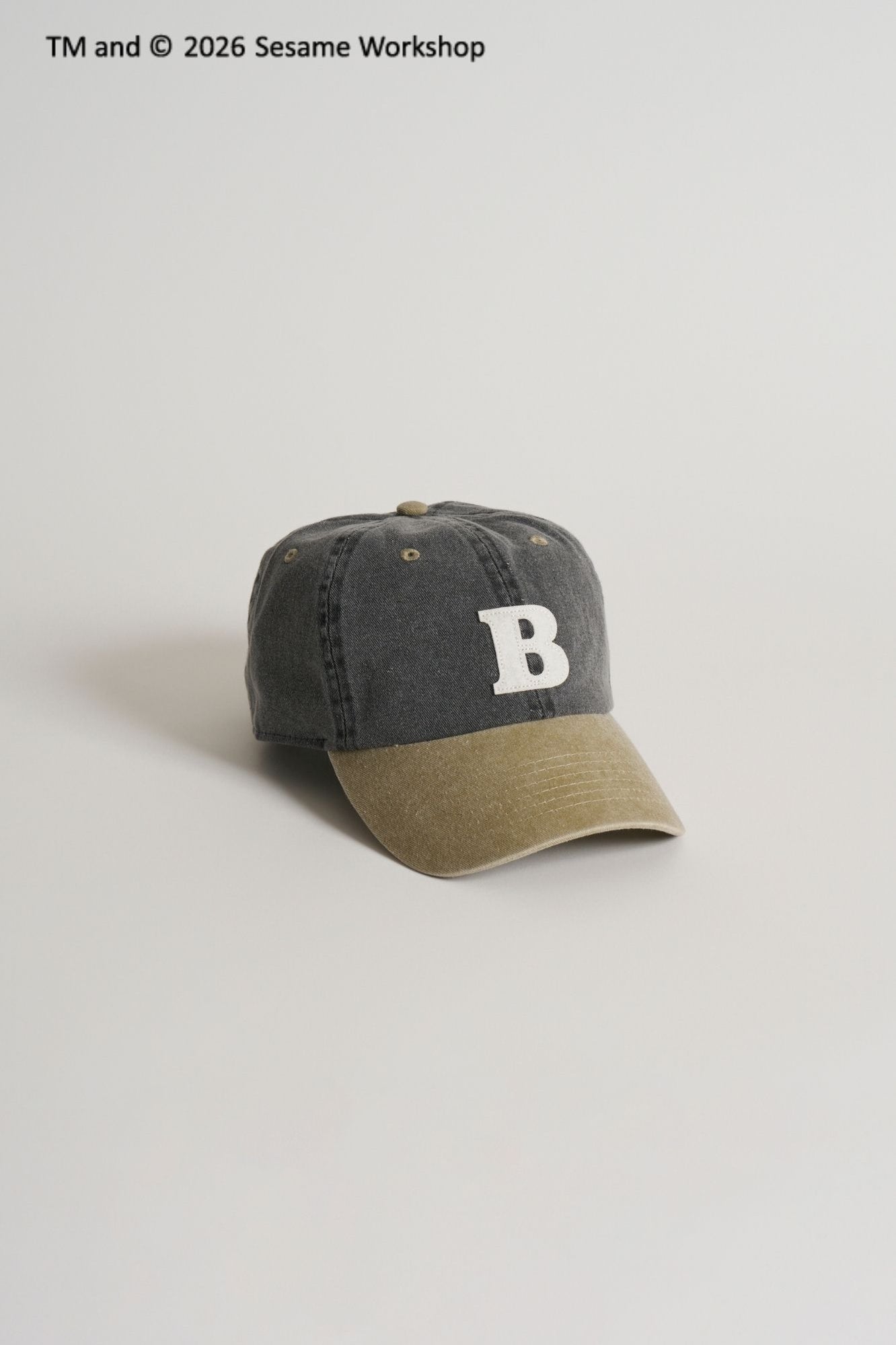 SESAME STREET two-tone CAP ①